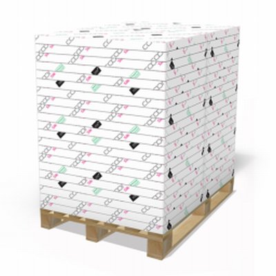 Papel Estucado Cocoon Silk 300 g/m² 650 mm x 920 mm 125 hojas/paq