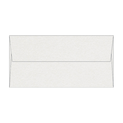 Curious Metallics Ice Silver DL 110 x 220 mm 120 g/m² en caja