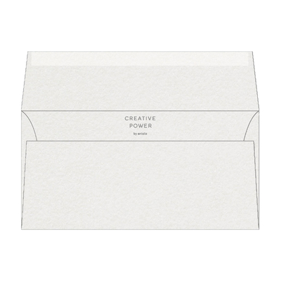 Curious Metallics Ice Silver DL 110 x 220 mm 120 g/m² en caja