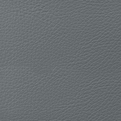 Coala Interior Film Tela