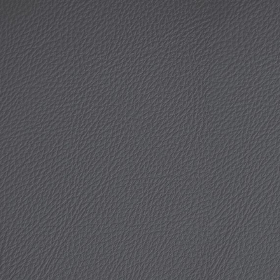 Coala Interior Film Tela