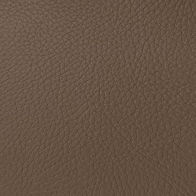 Coala Interior Film Tela