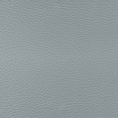 Coala Interior Film Tela