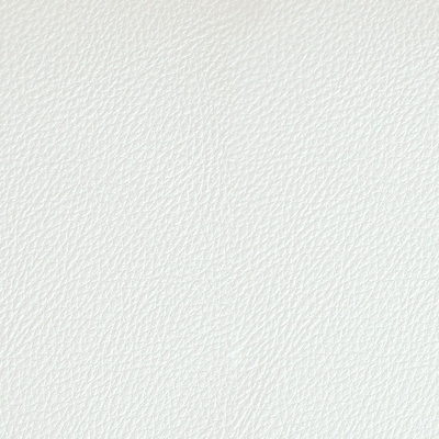 Coala Interior Film Tela