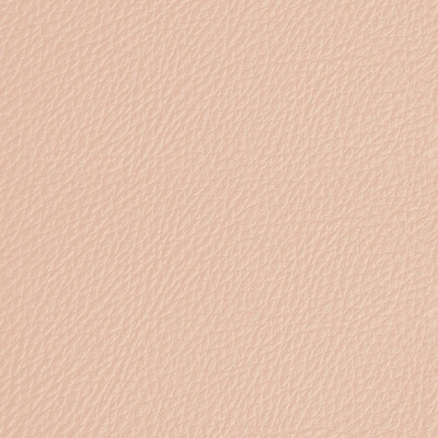 Coala Interior Film Tela