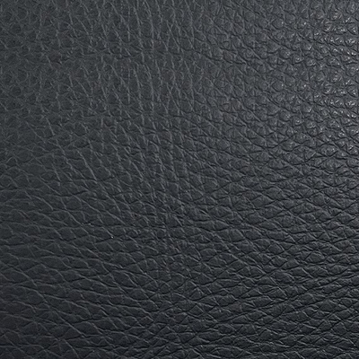Coala Interior Film Tela