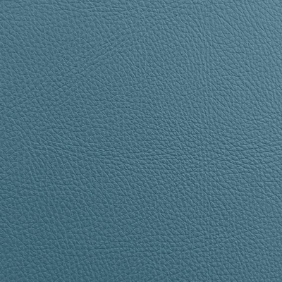 Coala Interior Film Tela