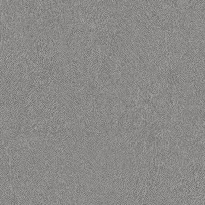 Vinilo decorativo Coala Interior CUERO NE41 - Light Grey Leather