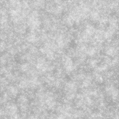 Vinilo decorativo Coala Interior BRILLANTE R7 - Silver Disco