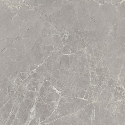 Vinilo decorativo Coala Interior Stone NH11 - Light Etruscan Grey