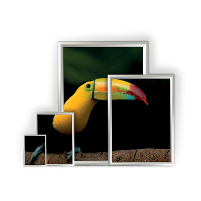 Coala Posterframe - Sistemas de display - Usos y detalles