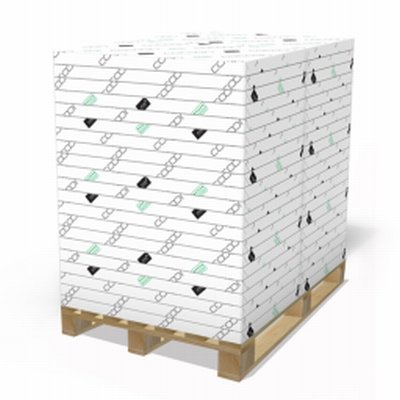 Papel Offset Cocoon blanco 90 g/m² 450 mm x 640 mm 250 hojas/paq