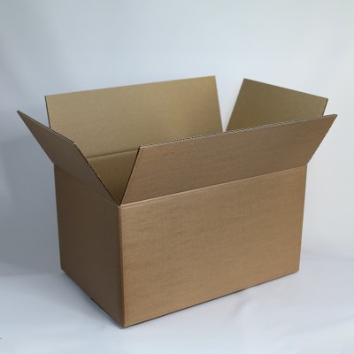 Caja de cartón ondulado Master'in Performance canal simple 250 mm x 250 mm x 250 mm marrón