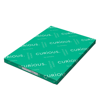Curious Translucents Colores paquete - Papeles creativos