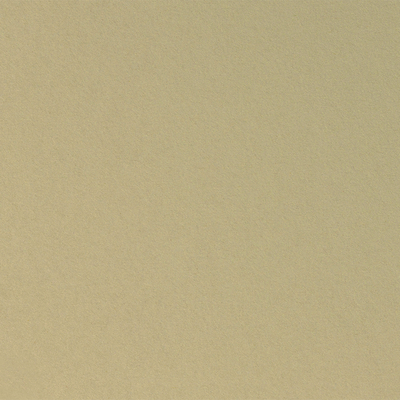 Curious Metallics Champagne 300 g/m² 720 mm x 1020 mm 100 hojas/paq