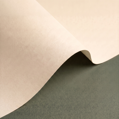 Papel Olin Regular warm white 90 g/m² 720 mm x 1020 mm