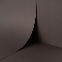 Papel Keaykolour Blackberry 300 g/m² 700 mm x 1000 mm 100 hojas/paq