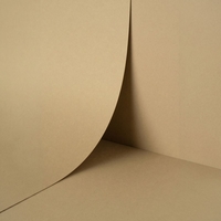 Papel Keaykolour Camel 300 g/m² 700 mm x 1000 mm 100 hojas/paq