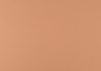 Color naranja - cartulina Bristol
