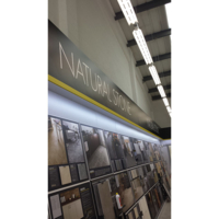 Cartón Pluma Kapa Plast blanco mate 1040 g/m² 10 mm 1400 mm x 3000 mm empaquetado