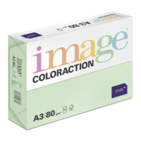 Papel Image Coloraction Forest/Pastel Green 80 g/m² A3