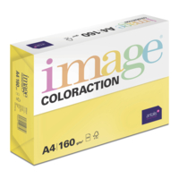 Image Coloraction (reprográfico)