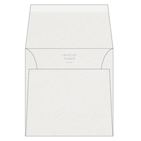 Curious Metallics Ice Silver 170 mm x 170 mm 120 g/m² en caja