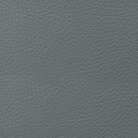 Coala Interior Film Tela