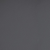 Coala Interior Film Tela