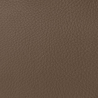 Coala Interior Film Tela