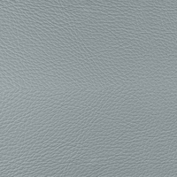 Coala Interior Film Tela