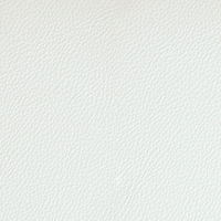 Coala Interior Film Tela