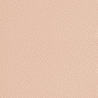 Coala Interior Film Tela
