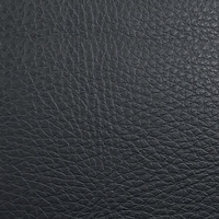 Coala Interior Film Tela