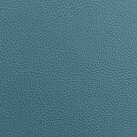 Coala Interior Film Tela