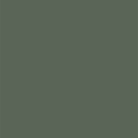 Vinilo decorativo Coala Interior Color NH08 - Forest Green