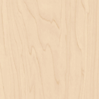 Vinilo decorativo Coala Interior MADERA CT19 - Gold And White Birch