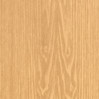 Vinilo decorativo Coala Interior MADERA CT87 - Medium Unstructured Beige Wood