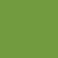 Vinilo decorativo Coala Interior COLOR SOLIDO M5 - Poison Green