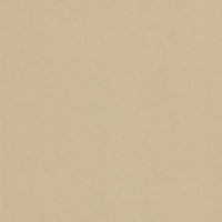 Vinilo decorativo Coala Interior CUERO NE42 - Caramel Leather