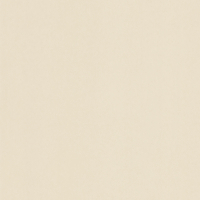 Vinilo decorativo Coala Interior CUERO NE43 - Light Cream Leather
