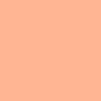 Vinilo decorativo Coala Interior COLOR SOLIDO NE53 - Peach Light