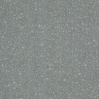Vinilo decorativo Coala InteriorNATURAL STONE NG02 - SPOTTED CEMENT GREY
