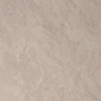 Vinilo decorativo Coala InteriorMARBLE NG05 - GREY CREAM MARBLE