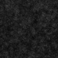 Vinilo decorativo Coala Interior BRILLANTE R9 - Black Disco