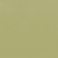 Vinilo decorativo Coala Interior COLOR SOLIDO RM19 - Light Olive Grain