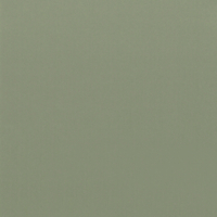 Vinilo decorativo Coala Interior COLOR SOLIDO RM20 - Olive Green
