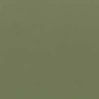 Vinilo decorativo Coala Interior COLOR SOLIDO RM21 - Army Green