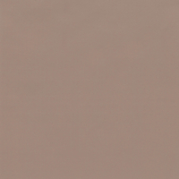 Vinilo decorativo Coala Interior COLOR SOLIDO RM25 - Desert Sand