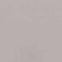Vinilo decorativo Coala Interior COLOR SOLIDO RM27 - Light Grey